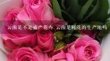 云南是不是盛产花卉 云南是鲜花的生产地吗,为什么云南的花特别鲜艳？