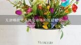 天津哪的鲜花批发市场的花最便宜,天津送花,天津买鲜花,天津鲜花网,天津订花网,天津女