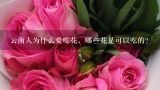 云南人为什么爱吃花，哪些花是可以吃的？云南大学食堂推出玫瑰宴，你还知道哪些大学食堂推出