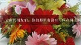 云南的朋友们，你们那里有没有可以在网上购买鲜花的,订鲜花去哪里订比较好？