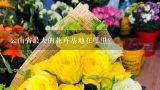 云南省最大的花卉基地在哪里？云南那里学插花好？