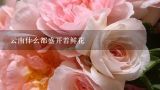 云南什么都盛开着鲜花,云南的玫瑰花和一般的玫瑰有什么区别？