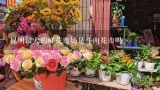 昆明最大的鲜花市场是斗南花市吗,昆明花卉批发市场在哪里？