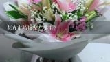 云南花卉种植基地在哪里,斗南花市是亚洲第几大的鲜花交易市场