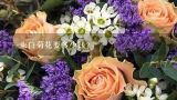 一束白菊花要多少钱？清明节，市场上的菊花一般多少钱一朵呢，黄菊花和白