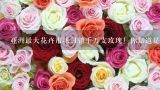 亚洲最大花卉市场日销千万支玫瑰！你知道是哪个市场,斗南花市在昆明哪个区
