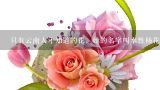只有云南人才知道的花，她的名字叫水性杨花，在丽江,世界上哪些花最名贵？