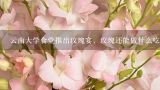 云南大学食堂推出玫瑰宴，玫瑰还能做什么吃的？