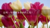 云南麦子玫瑰鲜花膏怎样,昆明一年四季各有些什么花？
