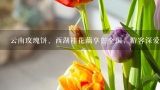 云南玫瑰饼、西湖桂花藕享誉全国，游客深爱的鲜花美,云南大学推出30多道玫瑰花的菜肴，用玫瑰花能做哪些