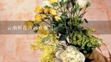 云南鲜花市场在哪里,郑州鲜花快递服务哪个最便宜，每天发一两单，哪个可以长期合作的？