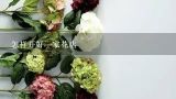 怎样开好一家花店,中国最大的鲜花市场，哪来这么多的鲜花？