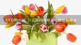 4月份的时候,什么品种的鲜花价格比较便宜,云南斗南花卉批发价格斗南花卉,盆栽批发？