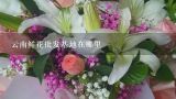 云南鲜花批发基地在哪里,云南寄新鲜花到广州会坏吗