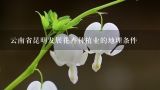 云南省昆明发展花卉种植业的地理条件,云南发展花卉种植业的有利气候条件