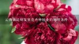 云南省昆明发展花卉种植业的地理条件,云南发展花卉种植业的有利气候条件？