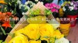 与传统鲜花生产国荷兰相比，云南发展鲜花产业最大的优势是( ),怎样从云南批发鲜花
