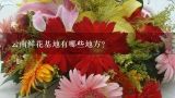 云南省有哪些比较大的盆栽种植基地，不是鲜花，最好能知道详细一点的地址？阳西有鲜花种植地吗？
