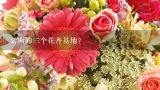云南的三个花卉基地？云南省最大的花卉基地在哪里？