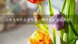 云南人为什么爱吃花，哪些花是可以吃的？云南大学再开“玫瑰宴”