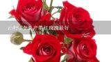 云南哪个县产墨红玫瑰最好,云南哪里种植的鲜花最多?