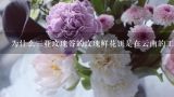 为什么三亚玫瑰谷的玫瑰鲜花饼是在云南的工产生产的