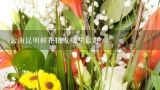 云南昆明鲜花批发哪里最好,云南昆明的鲜花物流公司到浙江湖州需要几天