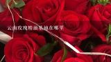 云南玫瑰精油基地在哪里,最近在云南出的雪兰鲜花酸奶据说是用玫瑰花酿的，请问玫瑰花可以食用吗？