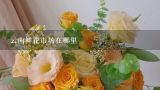 云南鲜花市场在哪里,云南山茶花的名贵品种？