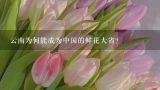 云南为何能成为中国的鲜花大省？云南最大鲜花市场，鲜花论斤卖，哪来这么多鲜花？