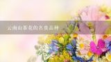 云南山茶花的名贵品种,云南八大名花