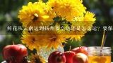 鲜花从云南运到扬州要空运还是怎么运？要保持鲜花的新鲜程度。,云南鲜花基地有哪些地方？