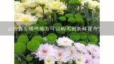 云南省有哪些地方可以购买到新鲜花卉？