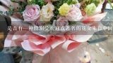 是否有一种特别受欢迎或著名的花朵来自中国？