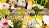 云南省内哪个地区的花卉种植业发展最好？