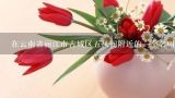 在云南省丽江市古城区五凤阁附近的一个名叫香草花艺的店铺是否有供应批发水果花束业务呢?