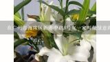 在广州市海珠区新港中路8号有一家叫做绿意阁鲜花装饰家居用品专营店的店铺里面有什么特别的花卉品种和种类?