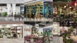 在广东省惠州市有多家花店吗?