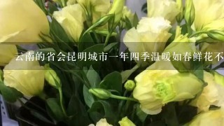 云南的省会昆明城市一年四季温暖如春鲜花不断人们常用诗句来形容美丽的城市这