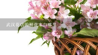 武汉花店的鲜花来自哪里
