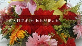 云南为何能成为中国的鲜花大省？
