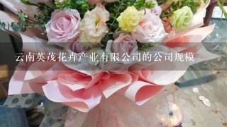 云南英茂花卉产业有限公司的公司规模