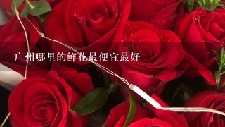 广州哪里的鲜花最便宜最好