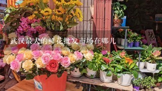 武汉最大的鲜花批发市场在哪儿