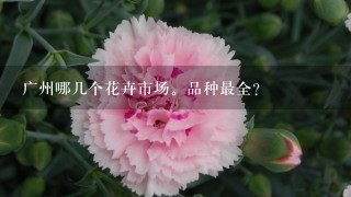 广州哪几个花卉市场。品种最全？