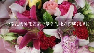 云南昆明鲜花店集中最多的地方在哪?谢谢!