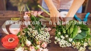 在东京的花卉市场上，有云南和荷兰的鲜花，云南的竞