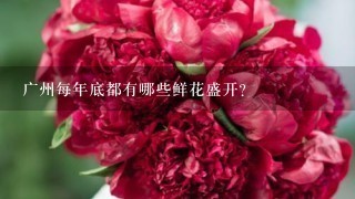 广州每年底都有哪些鲜花盛开？