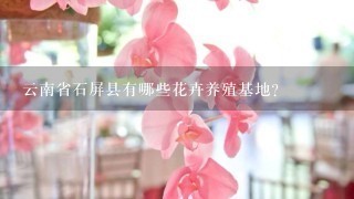 云南省石屏县有哪些花卉养殖基地？