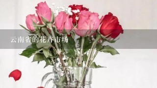 云南省的花卉市场